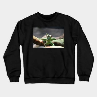 Double-Crested Basilisk Crewneck Sweatshirt